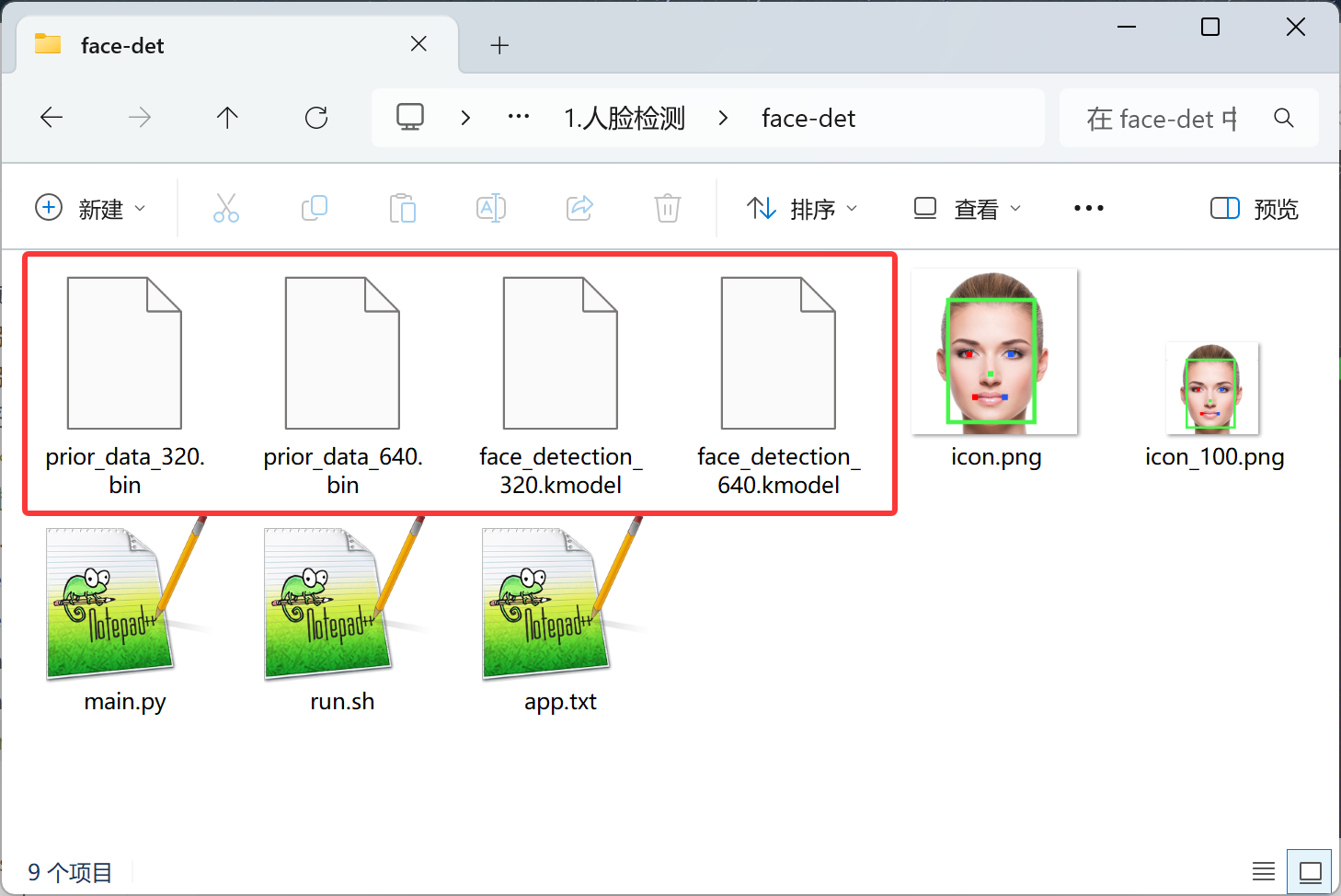 face_detection