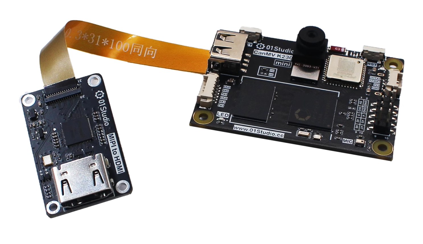 module
